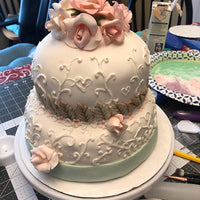 Cake Decorating Pen Tool Kit